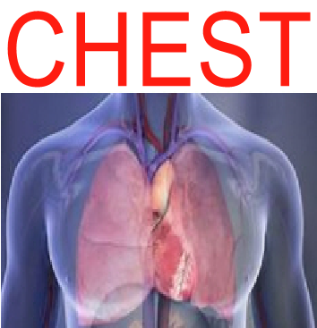 CHEST