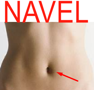 NAVEL